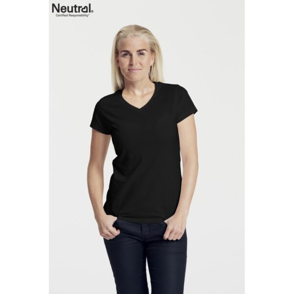 Ladies V-Neck T-Shirt Ladies V-Neck T-Shirt