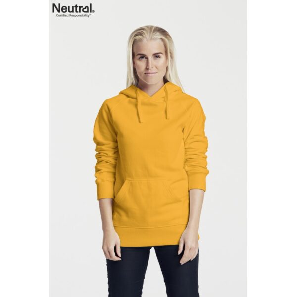 Ladies Hoodie Ladies Hoodie