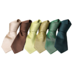Seks slips i forskellige farver (beige, brun, lysegrøn, gul, lysegrøn og mørkegrøn) ligger side om side. De er bundet med en enkelt Windsor-knude og er arrangeret på en hvid baggrund.