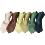Seks slips i forskellige farver (beige, brun, lysegul, gul, lysegrøn og mørkegrøn) ligger side om side mod en hvid baggrund.