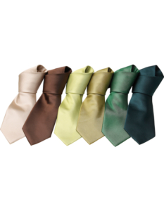 Seks slips i forskellige farver (beige, brun, lysegul, gul, lysegrøn og mørkegrøn) ligger side om side mod en hvid baggrund.