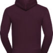 En bordeaux hættetrøje set bagfra; trøjen er ensfarvet uden mønstre eller tryk, med lange ærmer og ribmanchetter.