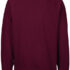 Økologisk Sweatshirt ryg