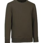 En grøn sweatshirt med lange ærmer og rund halsudskæring, hænger mod en neutral baggrund. Trøjen er enkel i design uden synlige mønstre eller logoer.