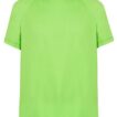 En lysgrøn t-shirt ligger fladt mod en hvid baggrund. T-shirten har korte ærmer og en rund hals. Ingen yderligere tekst eller mærker er synlige på t-shirten.