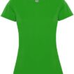 En grøn T-shirt med korte ærmer og rund hals hænger mod en hvid baggrund. Etiket i nakken viser logoet "Roly".