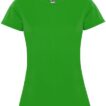 En grøn t-shirt med korte ærmer hænger oprejst. Et mærke med et kaninlogo og teskten "Roly" er synligt ved halsudskæringen.