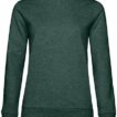 En grøn sweatshirt hænger på en neutral baggrund. Sweatshirten har lange ærmer, rund hals og ribkant ved håndled og bund.