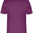 En violet, kortærmet t-shirt hænger på en hvid baggrund. Den har en rund halsudskæring og et simpelt design uden markante dekorationer. Tekst: "AND FLYer ACTIVEWEAR" på indersiden af kraven.