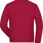 Rød sweatshirt set bagfra, hænger stille mod en hvid baggrund. Stoffet er ensfarvet uden synligt mønster eller detaljer.