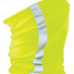 Morf® Enhanced-Viz