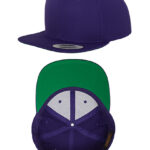 Original Flexfit Snapback