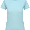 JC005_Mint