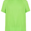 JHK100_Lime