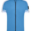 JN454_Cobalt