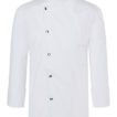 KY036_White