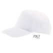 LC88119_White