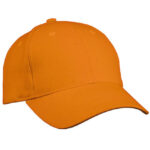 Heavy Cotton Cap