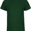NE30001_Bottle-Green