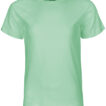 NE30001_Dusty-Mint