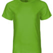 NE30001_Lime