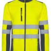 RY9303_Lead-23_Fluor-Yellow-221
