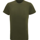TR010_Olive