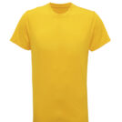TR010_Sun-Yellow