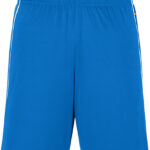 Basic Team Shorts