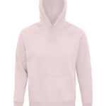 Unisex Stellar Sweatshirt
