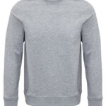 Unisex Comet Sweatshirt