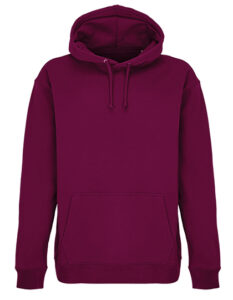 Unisex Condor Hooded Sweatshirt