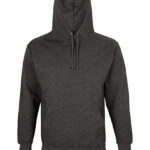 Unisex Condor Hooded Sweatshirt