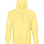 Unisex Condor Hooded Sweatshirt