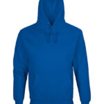 Unisex Condor Hooded Sweatshirt