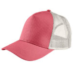 Five Panel Cap Blink