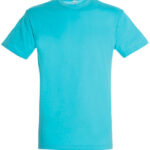 Regent T-Shirt 150