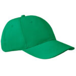 6-Panel Cap Apollo