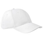 6-Panel Cap Apollo