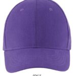 Six Panel Cap Buffalo