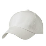 5 Panel Promo Cap