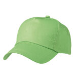 5 Panel Promo Cap