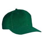 6-Panel Cap Low Profile