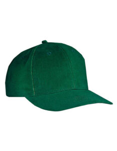 6-Panel Cap Low Profile
