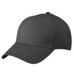 5-Panel Cap