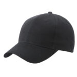 Brushed 6-Panel Cap