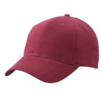 Brushed 6-Panel Cap