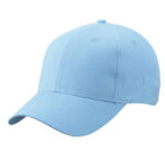 Brushed 6-Panel Cap