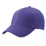 Brushed 6-Panel Cap