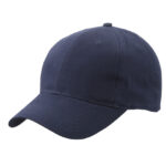Brushed 6-Panel Cap